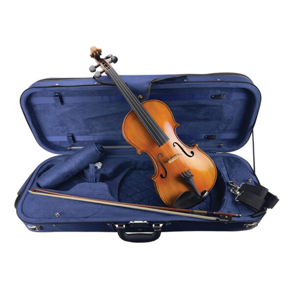 Cortona-viola-1