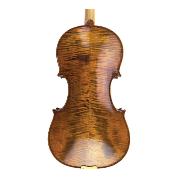 Cortona-viola-2