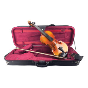 Siena-viola-1