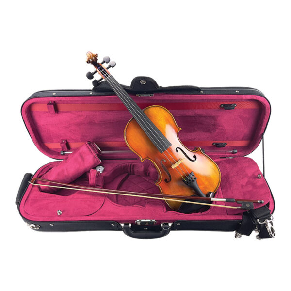 Siena-violin-1