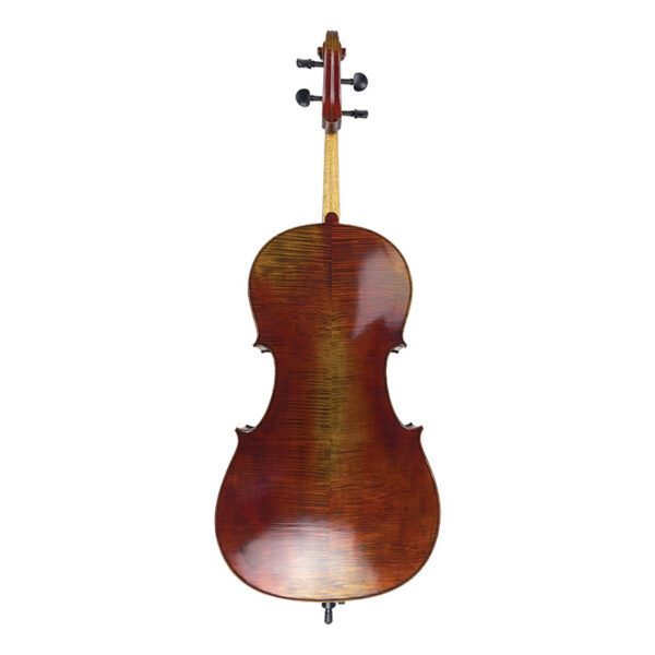 Turin-cello5