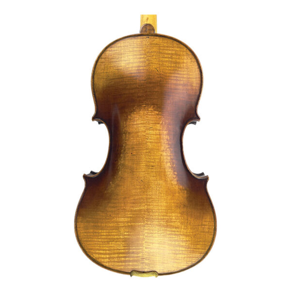 Turin-viola-2