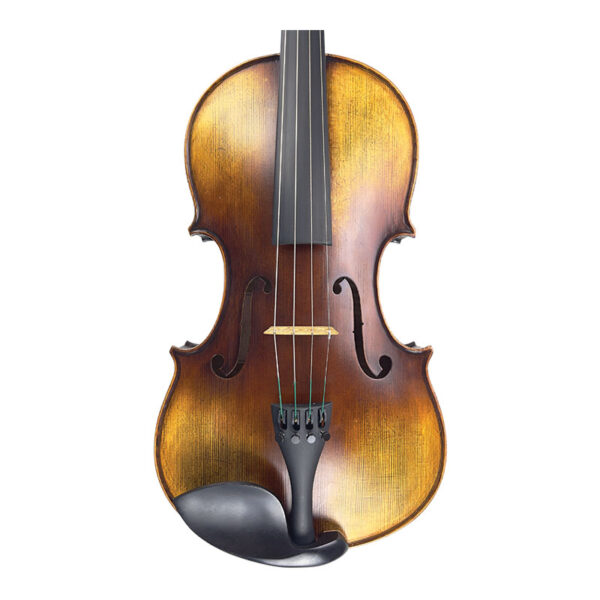 Turin-viola