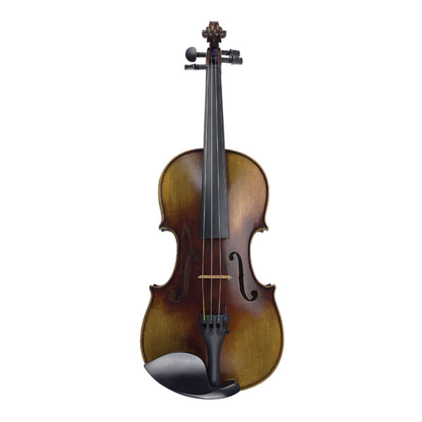 Turin-violin2