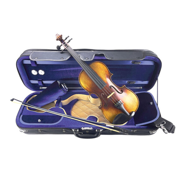 Turin-violin4