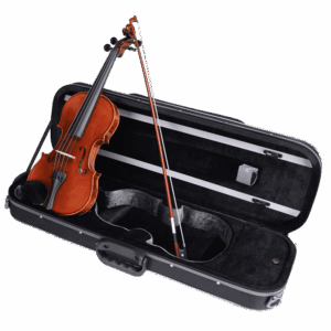 Ravenna violin outfit